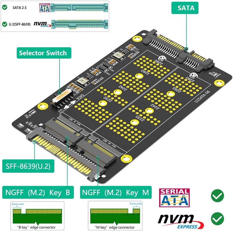 Mustpoint New Version 2 in 1 Combo M.2(NGFF) NVME PCI-E SSD to U.2 SFF-8639 ＆M.2(NGFF) SATA SSD to SATA Adapter - Image 3